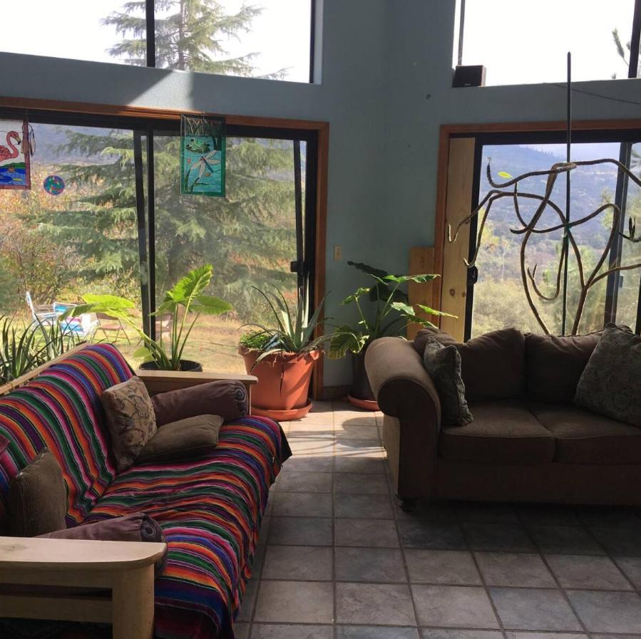 Sequoia Forest Retreat Badger Luaran gambar