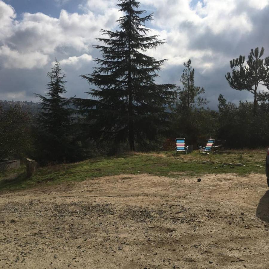 Sequoia Forest Retreat Badger Luaran gambar